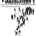 Evolution der Menschheit